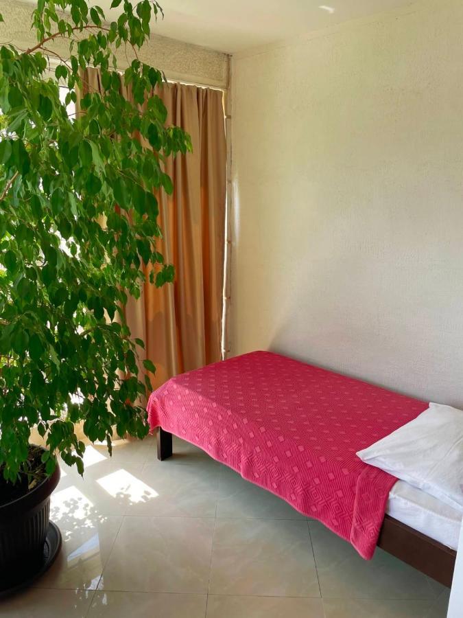 Apartmani Mina Herceg Novi Bagian luar foto